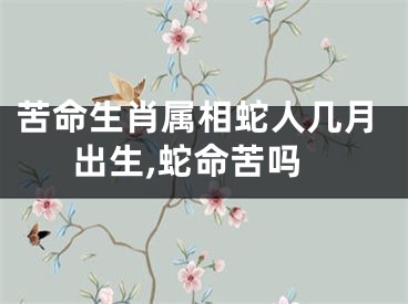 苦命生肖属相蛇人几月出生,蛇命苦吗