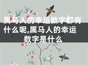 属马人的幸运数字都有什么呢,属马人的幸运数字是什么