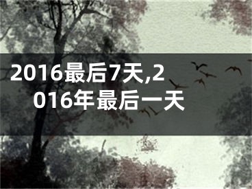 2016最后7天,2016年最后一天