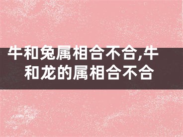 牛和兔属相合不合,牛和龙的属相合不合