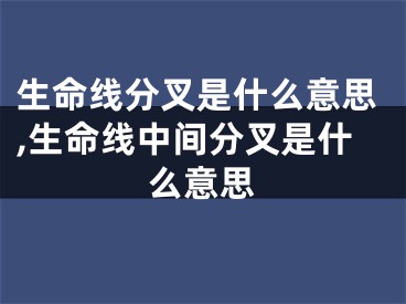 生命线分叉是什么意思,生命线中间分叉是什么意思