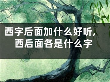 西字后面加什么好听,西后面各是什么字