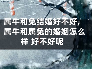 属牛和兔结婚好不好,属牛和属兔的婚姻怎么样 好不好呢