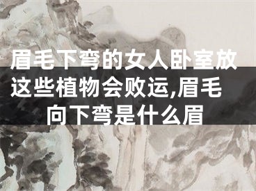 眉毛下弯的女人卧室放这些植物会败运,眉毛向下弯是什么眉