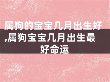 属狗的宝宝几月出生好,属狗宝宝几月出生最好命运