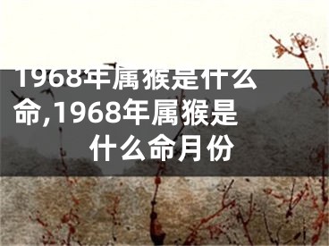 1968年属猴是什么命,1968年属猴是什么命月份