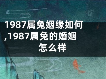 1987属兔姻缘如何,1987属兔的婚姻怎么样