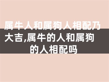 属牛人和属狗人相配乃大吉,属牛的人和属狗的人相配吗