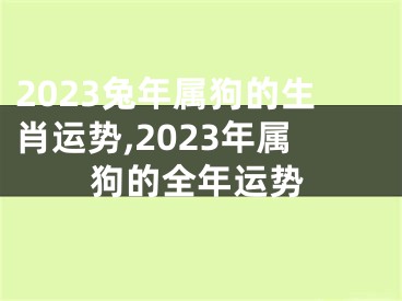 2023兔年属狗的生肖运势,2023年属狗的全年运势