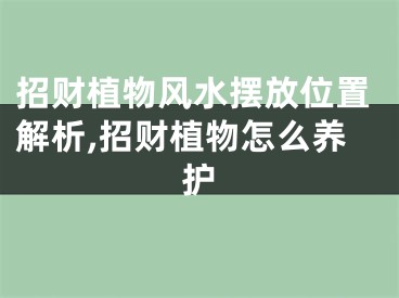 招财植物风水摆放位置解析,招财植物怎么养护