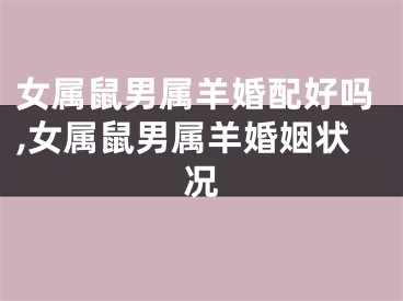 女属鼠男属羊婚配好吗,女属鼠男属羊婚姻状况