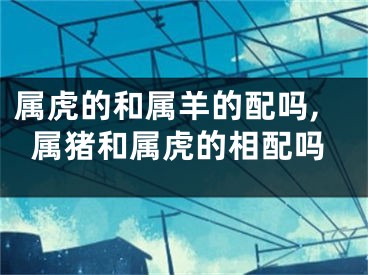 属虎的和属羊的配吗,属猪和属虎的相配吗