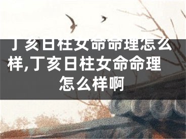 丁亥日柱女命命理怎么样,丁亥日柱女命命理怎么样啊