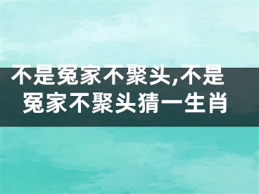 不是冤家不聚头,不是冤家不聚头猜一生肖