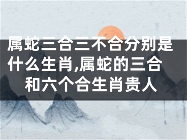 属蛇三合三不合分别是什么生肖,属蛇的三合和六个合生肖贵人