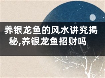 养银龙鱼的风水讲究揭秘,养银龙鱼招财吗