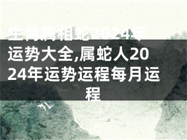 生肖属相蛇2024年运势大全,属蛇人2024年运势运程每月运程