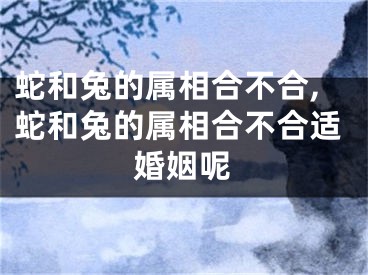 蛇和兔的属相合不合,蛇和兔的属相合不合适婚姻呢