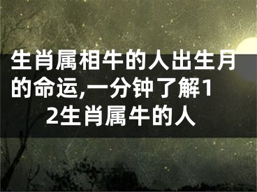 生肖属相牛的人出生月的命运,一分钟了解12生肖属牛的人