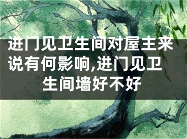 进门见卫生间对屋主来说有何影响,进门见卫生间墙好不好