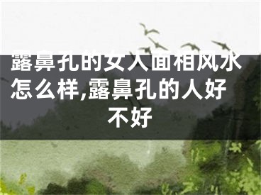 露鼻孔的女人面相风水怎么样,露鼻孔的人好不好