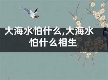 大海水怕什么,大海水怕什么相生