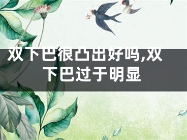 双下巴很凸出好吗,双下巴过于明显