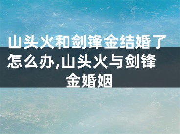 山头火和剑锋金结婚了怎么办,山头火与剑锋金婚姻