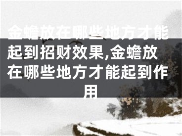 金蟾放在哪些地方才能起到招财效果,金蟾放在哪些地方才能起到作用