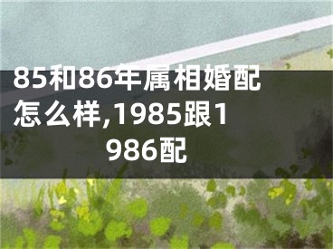 85和86年属相婚配怎么样,1985跟1986配