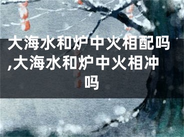 大海水和炉中火相配吗,大海水和炉中火相冲吗