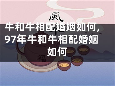 牛和牛相配婚姻如何,97年牛和牛相配婚姻如何