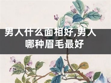 男人什么面相好,男人哪种眉毛最好