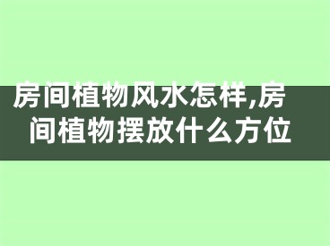 房间植物风水怎样,房间植物摆放什么方位