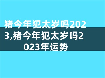 猪今年犯太岁吗2023,猪今年犯太岁吗2023年运势