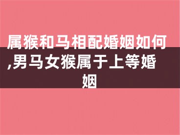 属猴和马相配婚姻如何,男马女猴属于上等婚姻