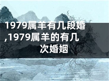 1979属羊有几段婚,1979属羊的有几次婚姻