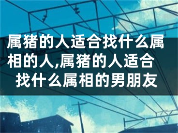 属猪的人适合找什么属相的人,属猪的人适合找什么属相的男朋友