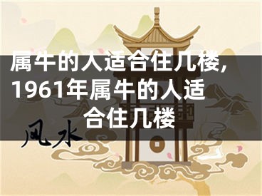 属牛的人适合住几楼,1961年属牛的人适合住几楼