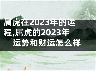 属虎在2023年的运程,属虎的2023年运势和财运怎么样