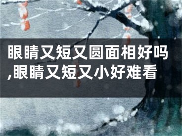 眼睛又短又圆面相好吗,眼睛又短又小好难看