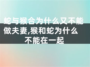 蛇与猴合为什么又不能做夫妻,猴和蛇为什么不能在一起