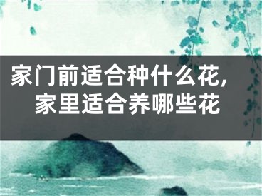 家门前适合种什么花,家里适合养哪些花