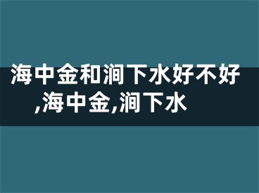 海中金和涧下水好不好,海中金,涧下水