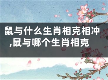 鼠与什么生肖相克相冲,鼠与哪个生肖相克