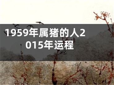 1959年属猪的人2015年运程