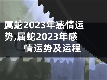 属蛇2023年感情运势,属蛇2023年感情运势及运程