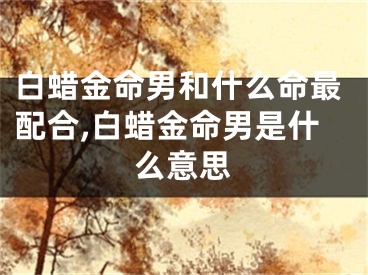 白蜡金命男和什么命最配合,白蜡金命男是什么意思