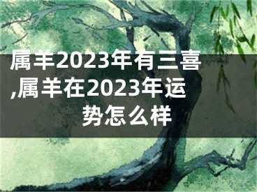 属羊2023年有三喜,属羊在2023年运势怎么样