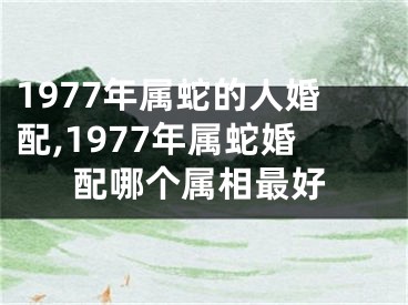 1977年属蛇的人婚配,1977年属蛇婚配哪个属相最好